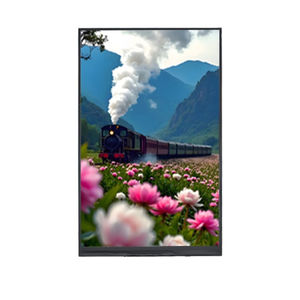 TFT LCD display module