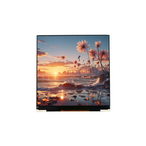 LCD display module