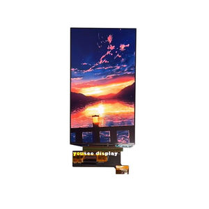 capacitive touch screen display module