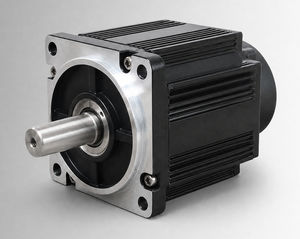 brushless motor 1