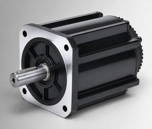 brushless motor 1