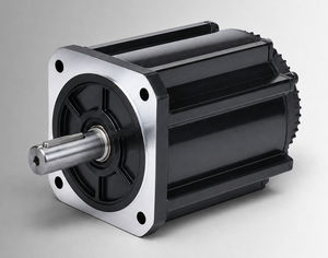 brushless motor 1