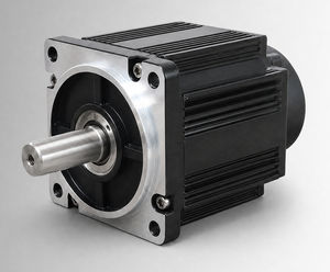 brushless motor 1