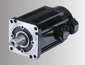 AC servomotor 1