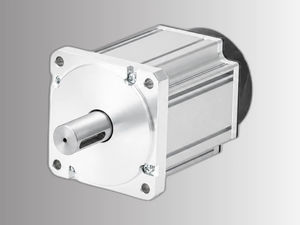 AC servomotor