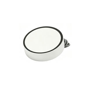 plate ultrasonic transducer