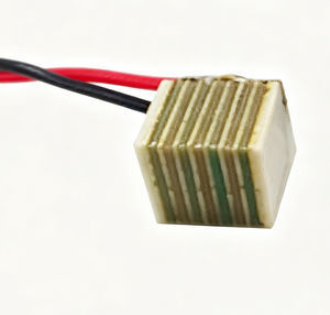 linear piezoelectric actuator 1