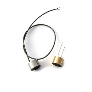 frequency probe 1
