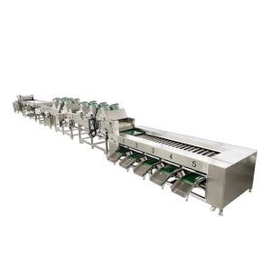 potato processing line