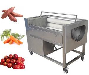vegetable washing machine