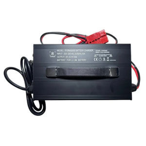 electric vehicle battery charger