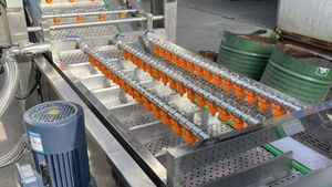 vegetable washing machine 1