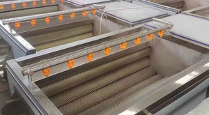 vegetable washing machine