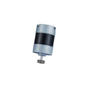 BLDC motor
