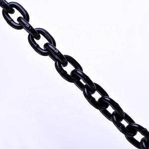 steel lifting chain 1