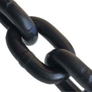 steel lifting chain 1