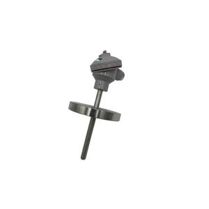 RTD temperature probe