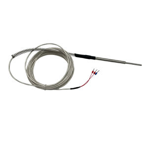 RTD temperature sensor 1