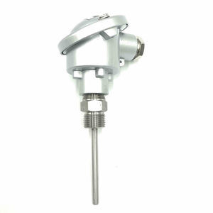RTD temperature sensor 1
