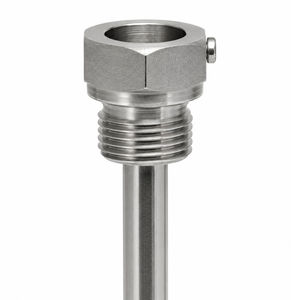 lockable thermowell 1