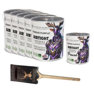 finishing paint