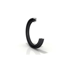 lip seal
