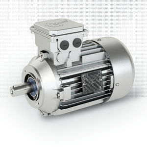 two-winding motor