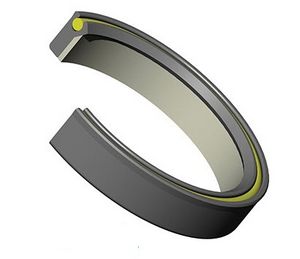 lipped seal / spring-loaded / circular / rubber