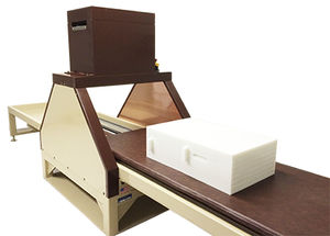 electronic counter / whole body