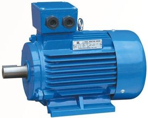 asynchronous motor 1