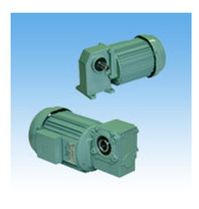 worm gear-motor