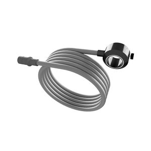 cold light illuminator