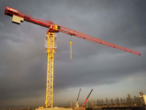 fixed crane