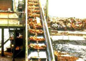 metal conveyor chain