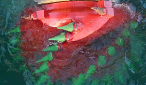 dredge cutter head