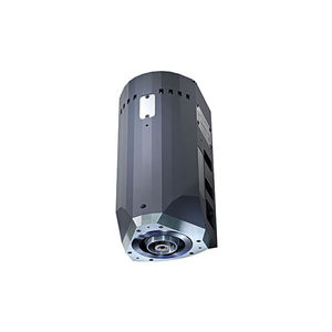 motor spindle
