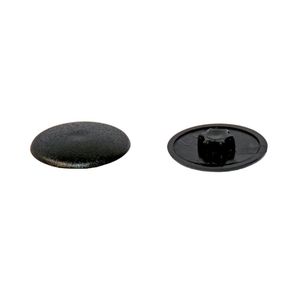 torx screw cap 1