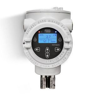 paramagnetic oxygen sensor 1