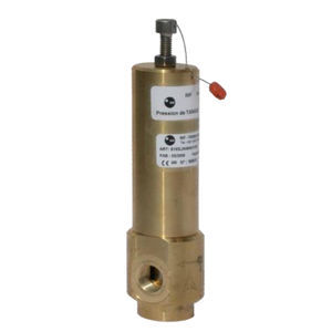 gas safety valve