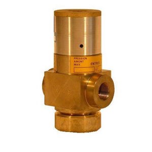 pneumatic valve