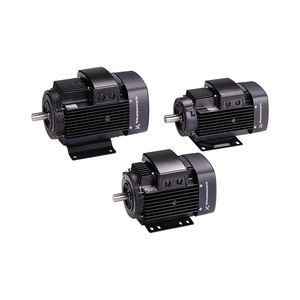 single-phase motor