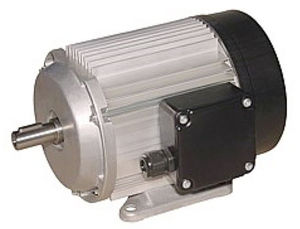 asynchronous motor