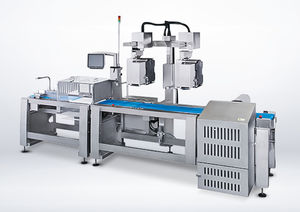 automatic labeller