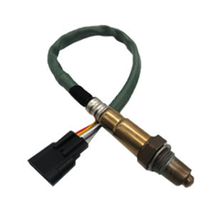 electrochemical oxygen sensor