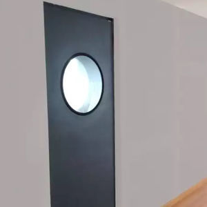 swing door 1