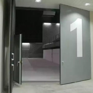 swing door 1