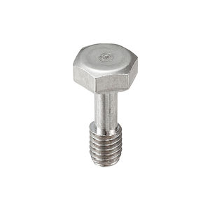 screw with hexagonal head