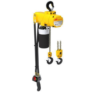 electric chain hoist 1