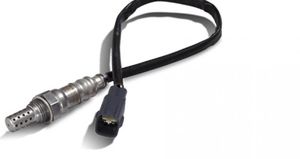 wear os oxygen sensor