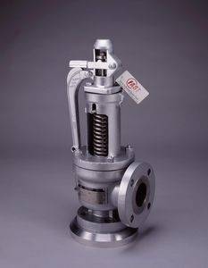 steam safety valve 1